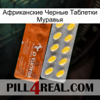 Африканские Черные Таблетки Муравья 42